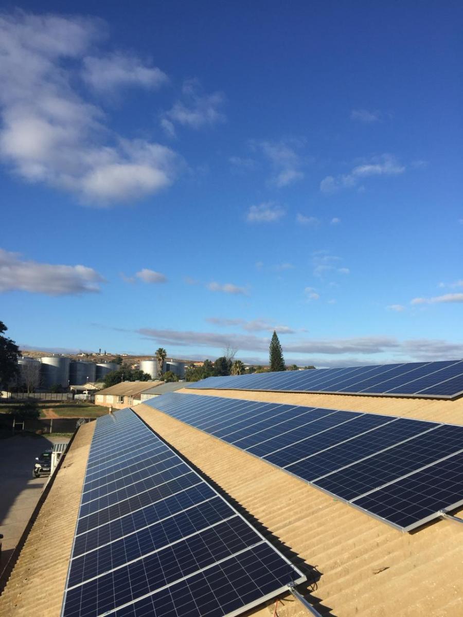 WhatsApp-Image-2024-03-14-at-13.55.57